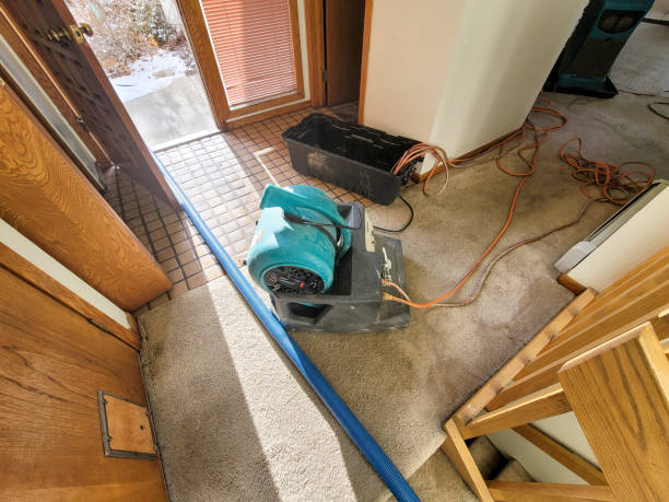 Island City, OR Water damage restoration Company