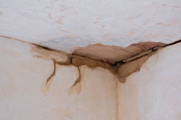Best Sewage cleanup and water damage restoration  in Island City, OR