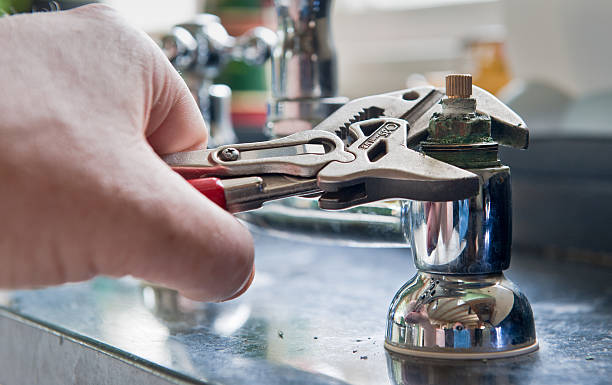Best Mold removal after water damage  in Island City, OR