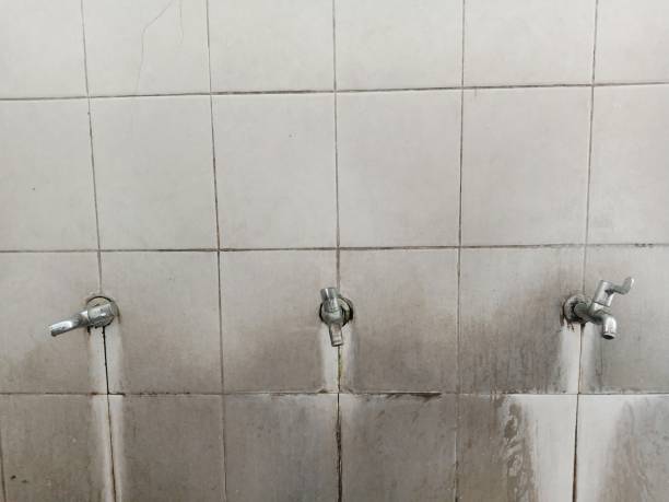 Best Water damage contractors near me  in Island City, OR