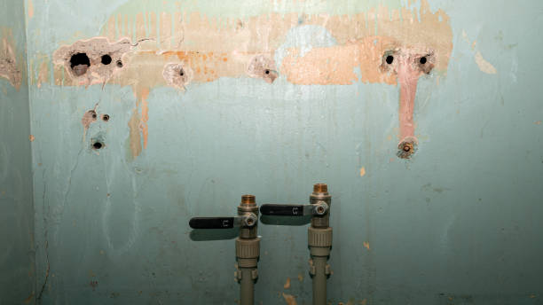 Best 24-hour water damage restoration  in Island City, OR