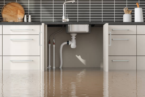Best Professional water damage repair  in Island City, OR
