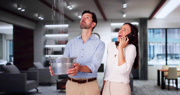 Carpet water damage restoration in Island City, OR